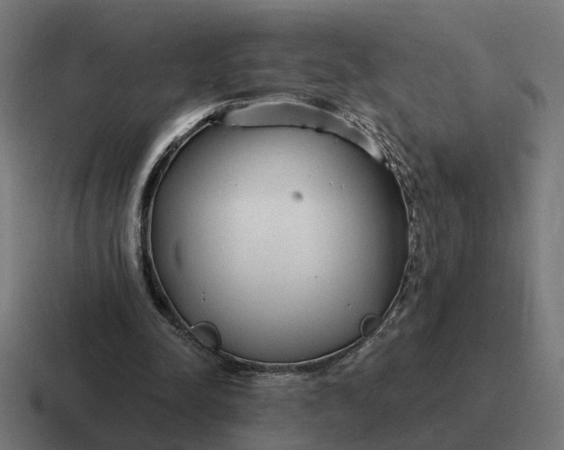 X0000116790342200912311921