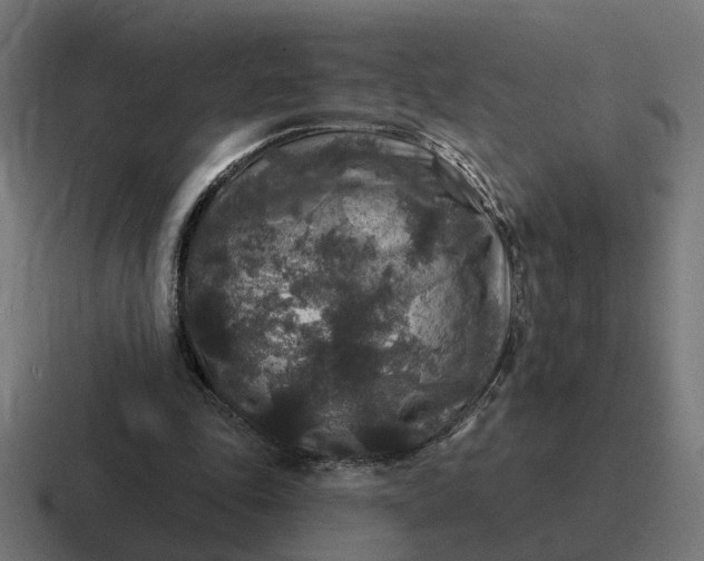 X0000116790343200912311921