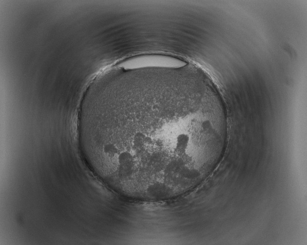 X0000116790345200912311921