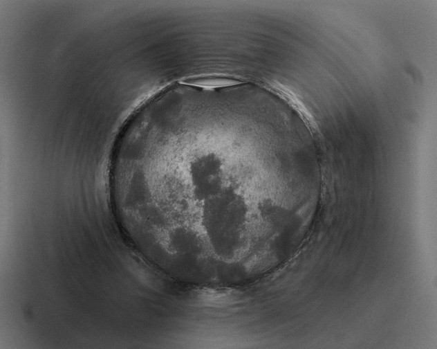 X0000116790346200912311921