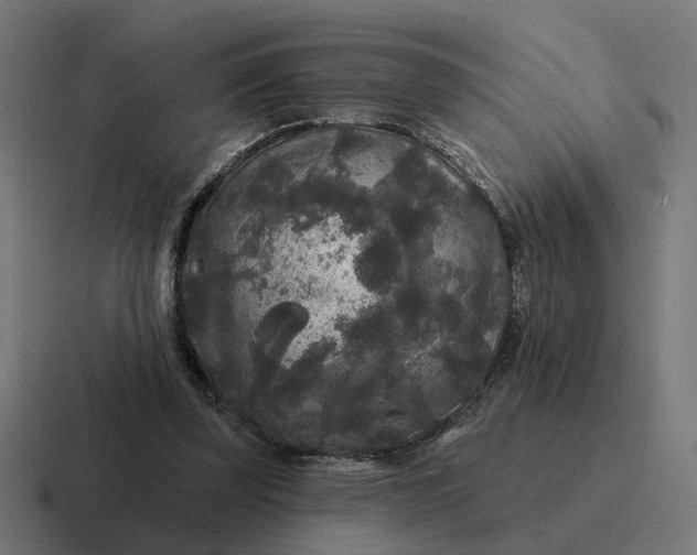 X0000116790347200912311921