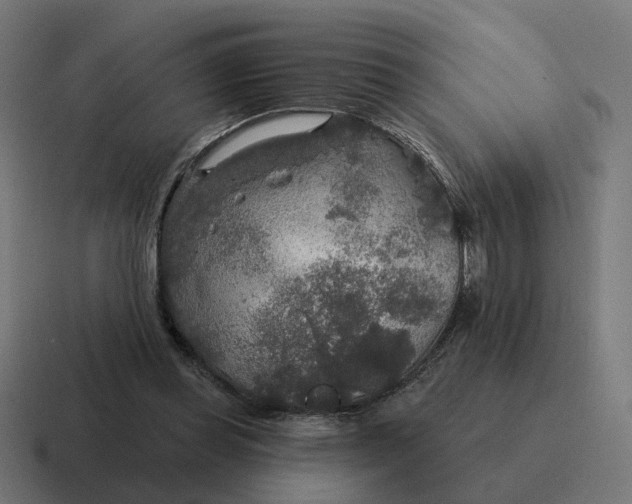 X0000116790349200912311921