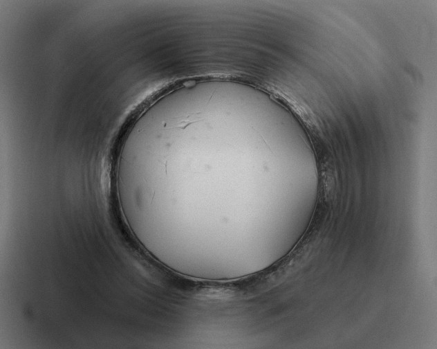 X0000116790350200912311921