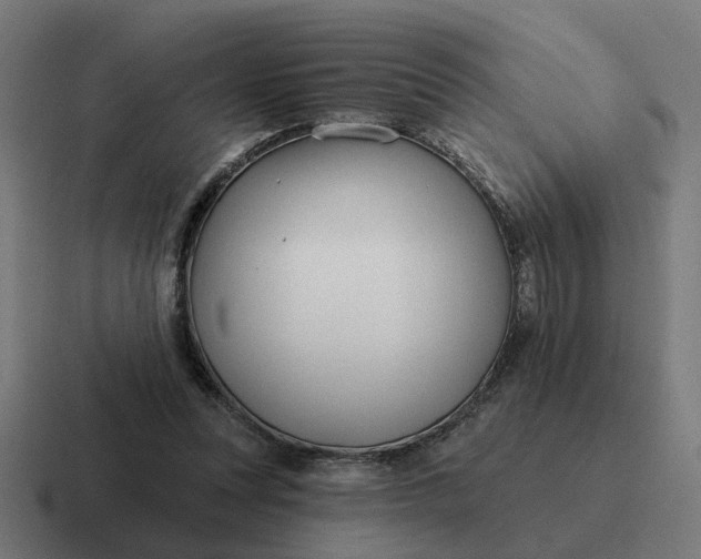 X0000116790351200912311921