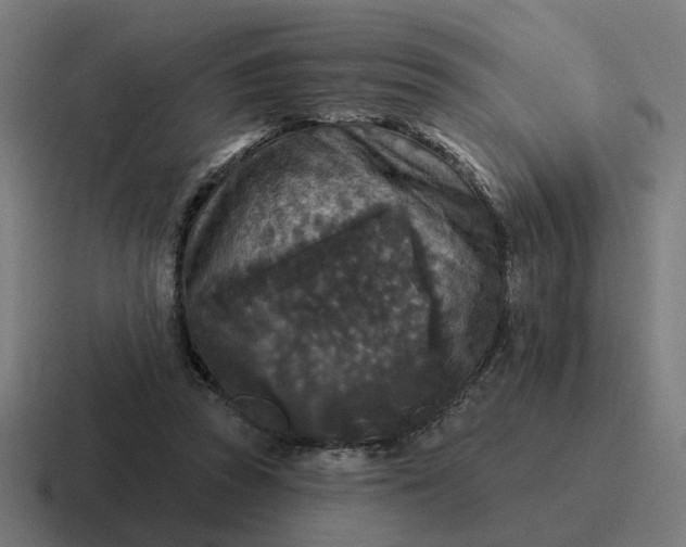 X0000116790353200912311921