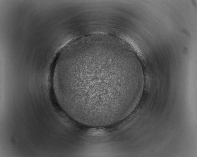 X0000116790354200912311921