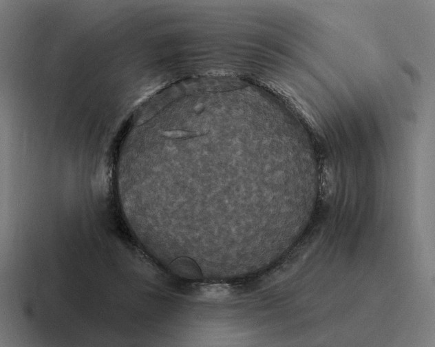 X0000116790355200912311921