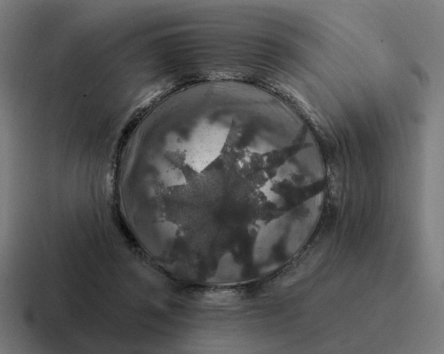 X0000116790357200912311921