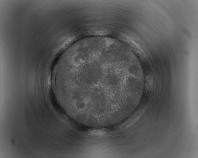 X0000116790358200912311921