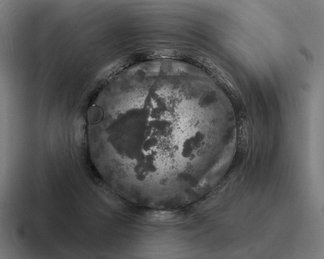 X0000116790361200912311921