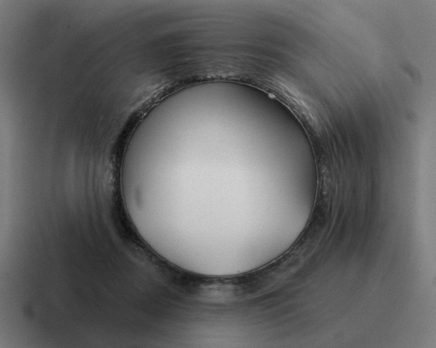 X0000116790362200912311921