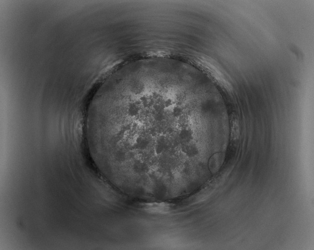 X0000116790363200912311921