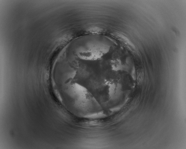 X0000116790365200912311921