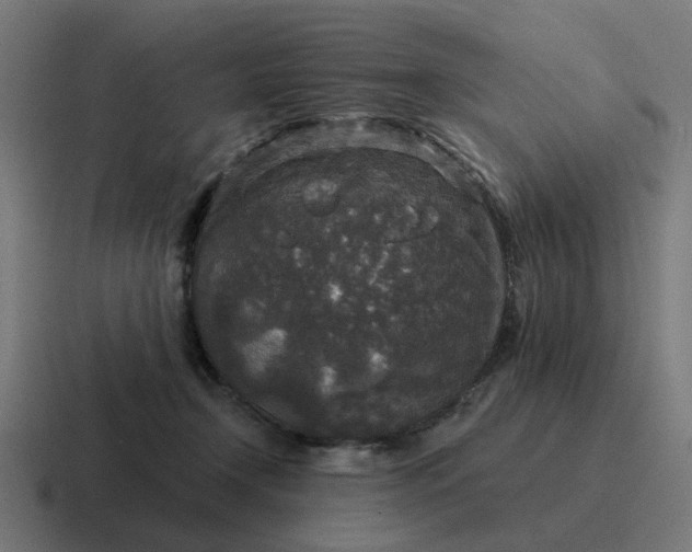 X0000116790366200912311921