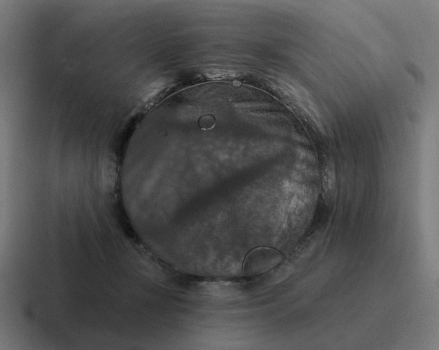 X0000116790367200912311921