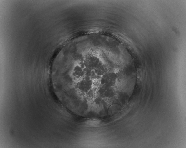 X0000116790369200912311921