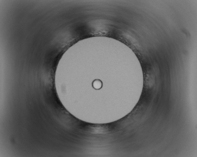 X0000116790370200912311921