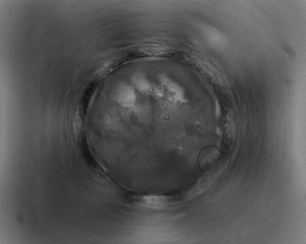 X0000116790371200912311921