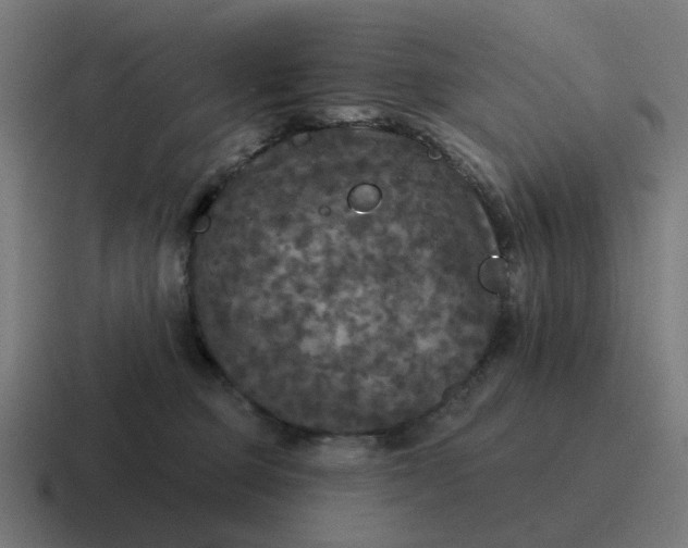 X0000116790373200912311921