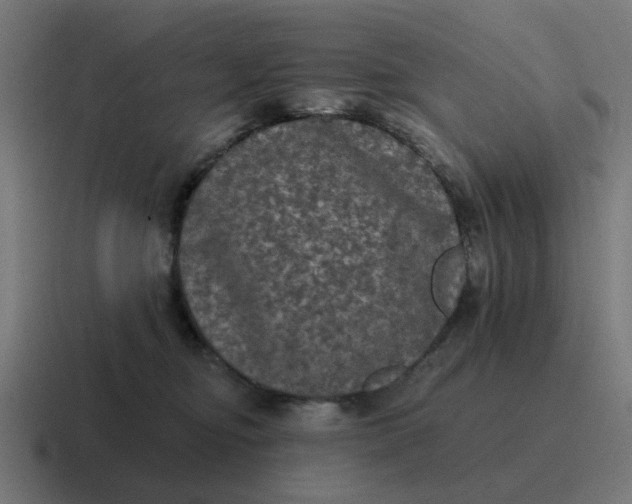 X0000116790374200912311921