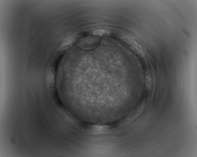 X0000116790375200912311921