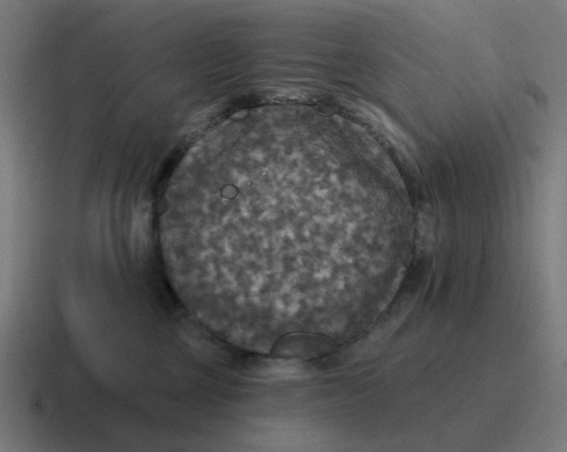 X0000116790377200912311921