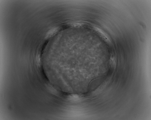 X0000116790381200912311921