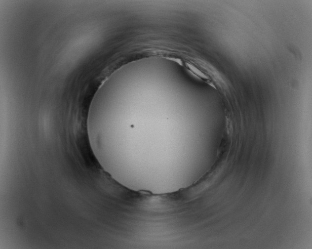 X0000116790382200912311921