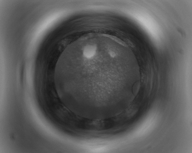 X0000116790383200912311921