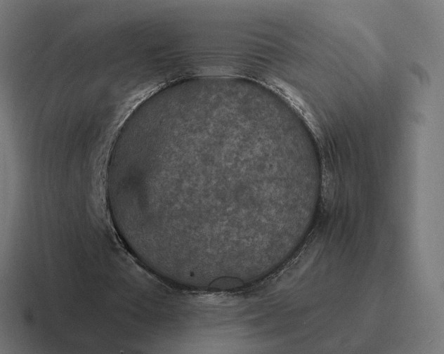 X0000116790385200912311921