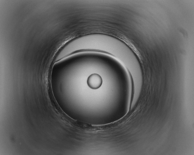 X0000116790386200912311921