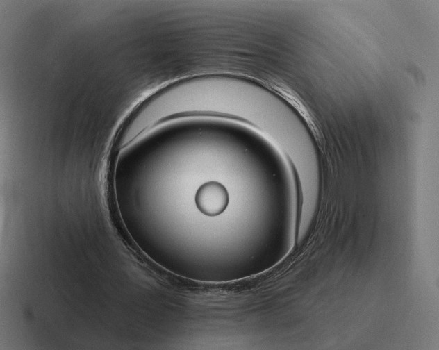 X0000116790387200912311921