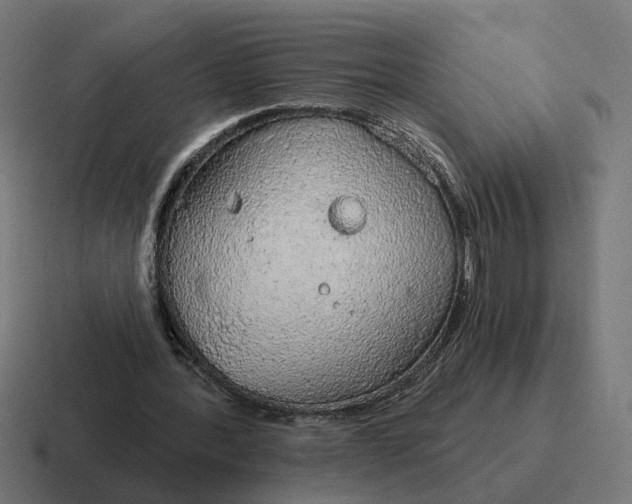 X0000116790388200912311921