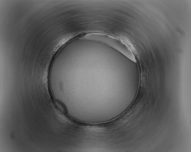 X0000116790389200912311921