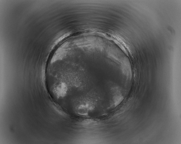 X0000116790390200912311921