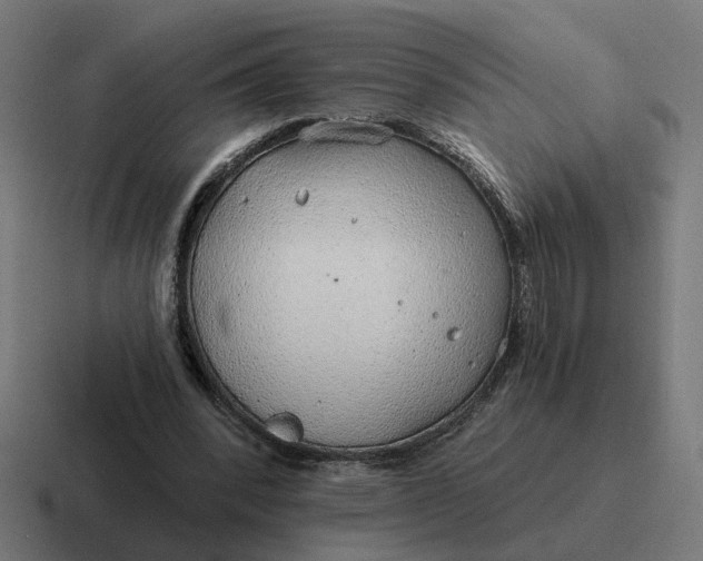 X0000116790392200912311921