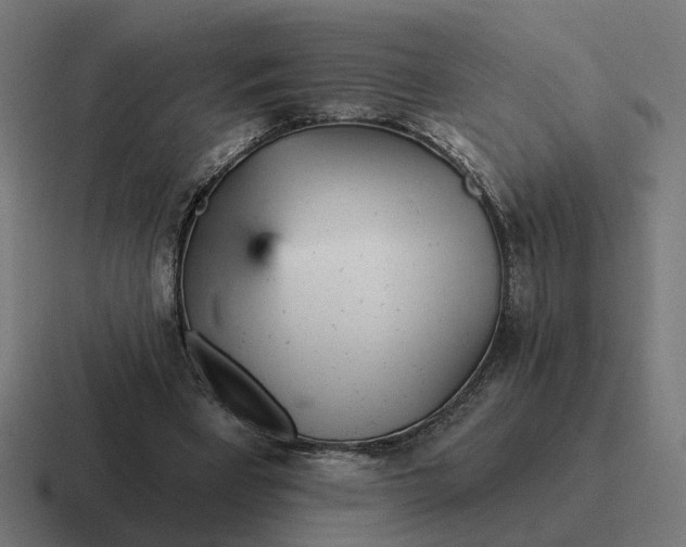 X0000116790393200912311921