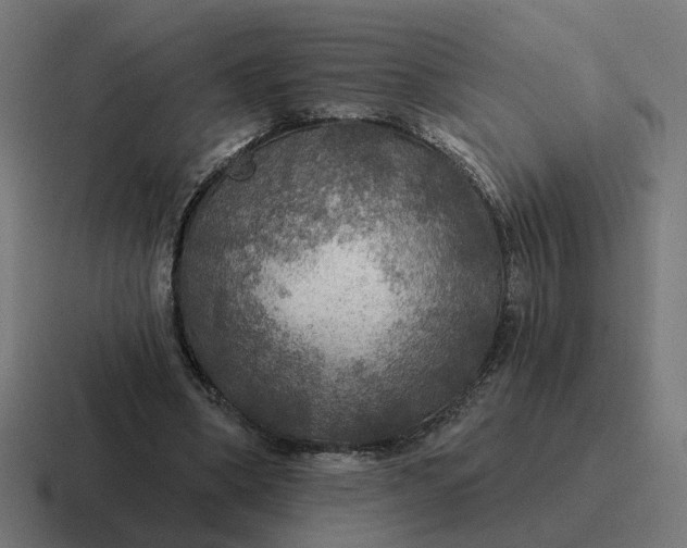 X0000116790394200912311921