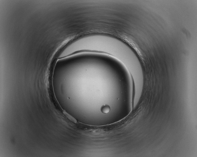 X0000116790395200912311921