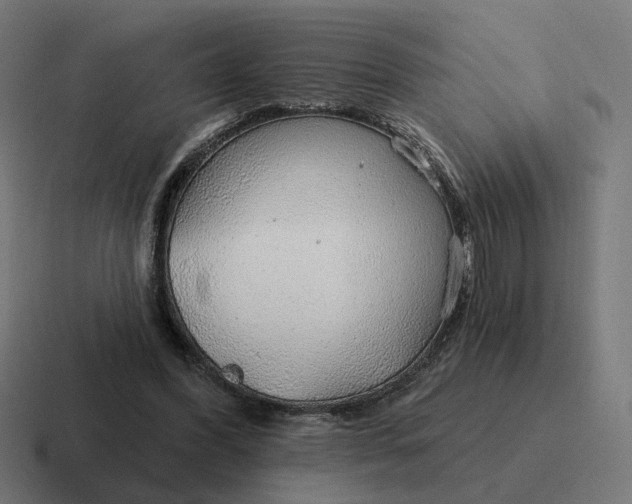 X0000116790396200912311921