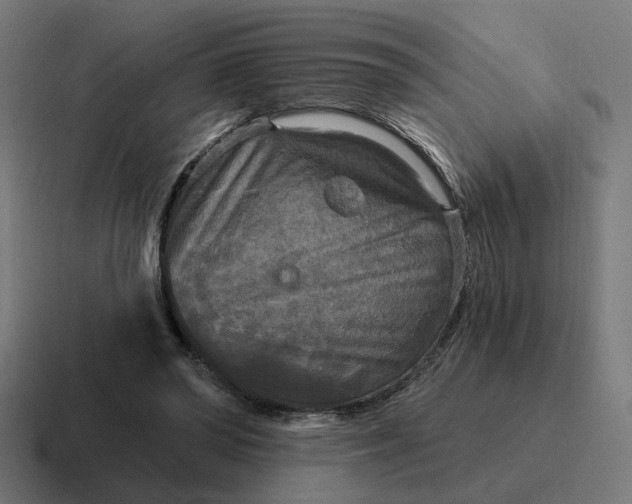 X0000116790398200912311921