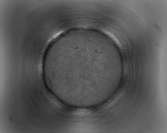 X0000116790399200912311921