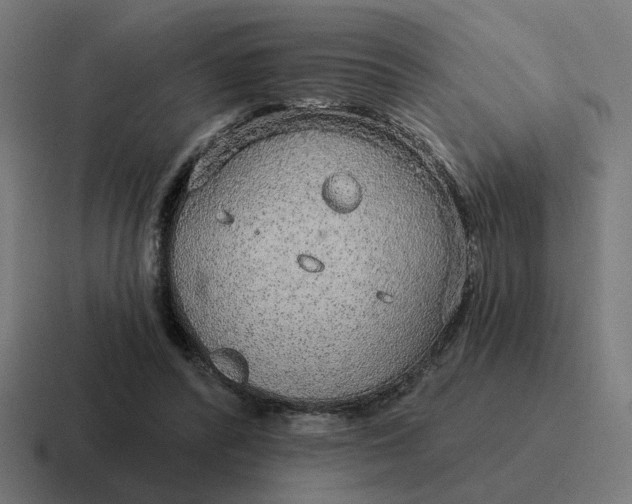 X0000116790400200912311921