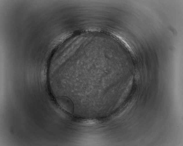 X0000116790402200912311921