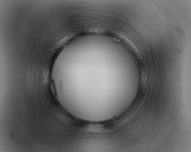 X0000116790403200912311921