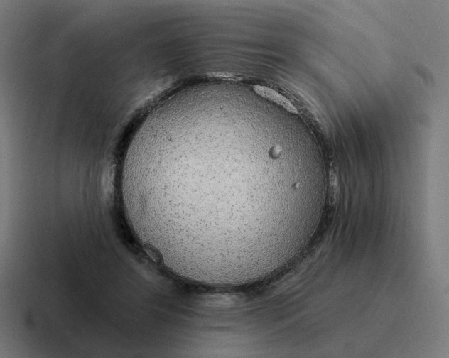 X0000116790404200912311921