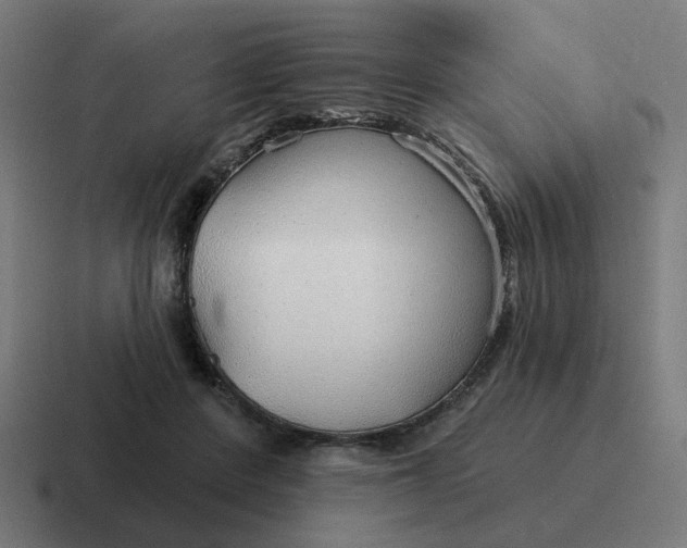 X0000116790408200912311921