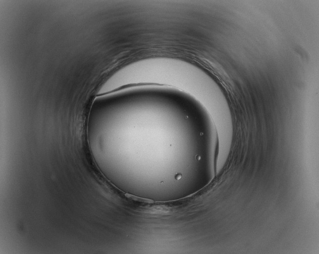 X0000116790409200912311921