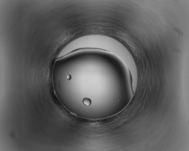 X0000116790411200912311920