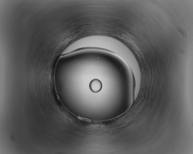 X0000116790415200912311920